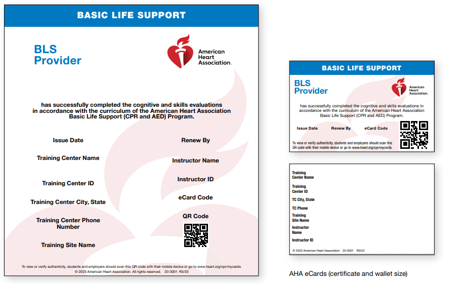 A basic life support card and bls provider card.